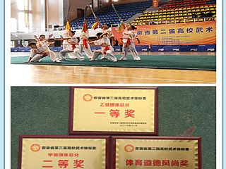beat365官网学生在安徽省第二届高校武术锦标赛中荣获佳绩