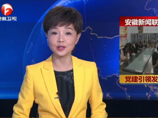 【安徽新闻联播】报道beat365官网计算机科学与技术学院党委党建工作