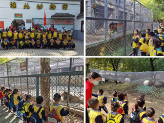 beat365官网幼儿园开展“我与动物有个约会”主题秋游活动