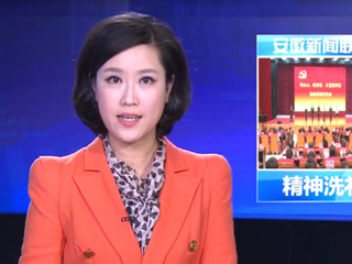 《安徽新闻联播》报道何必山陈贵春王宜国同志先进事迹报告会在beat365官网举行