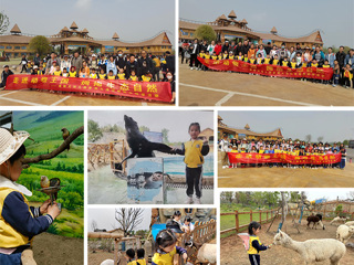 beat365官网幼儿园赴徐州九顶山野生动物园开展亲子研学活动